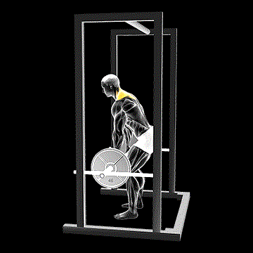 Barbell Power Shrug demonstration