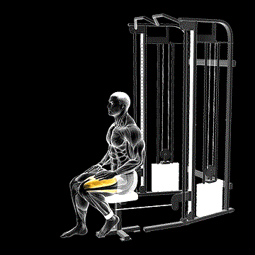 Cable Seated Leg Extension demonstration