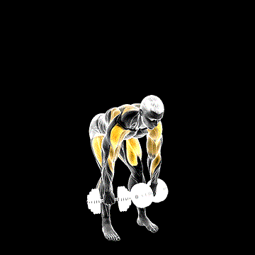 Dumbbell High Pull demonstration