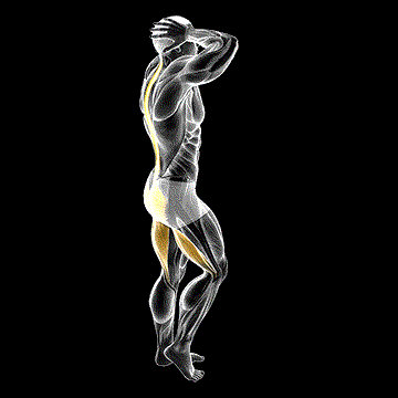Bodyweight B-Stance Good Morning demonstration