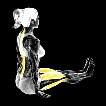 Lean-Forward Stretch demonstration