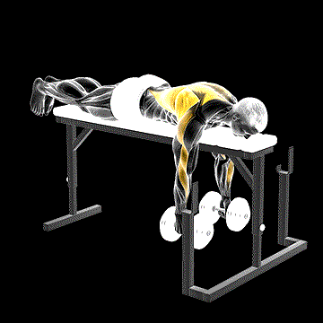 Dumbbell Lying Row demonstration