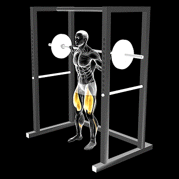 Barbell Pin Squat demonstration