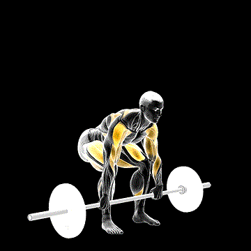 Barbell Clean High Pull demonstration