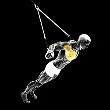 Suspension Fly demonstration
