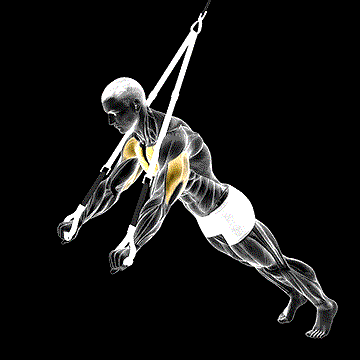 Suspension Chest Press demonstration