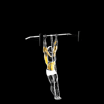 Band-Assisted Muscle-up demonstration