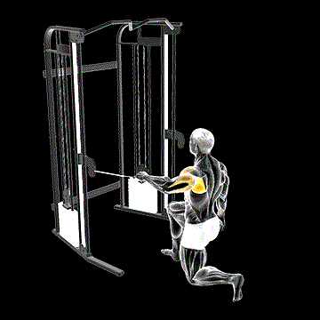 Cable Kneeling Shoulder 90 Degrees External Rotation Press demonstration