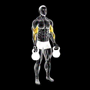 Kettlebell Bicep Curl demonstration