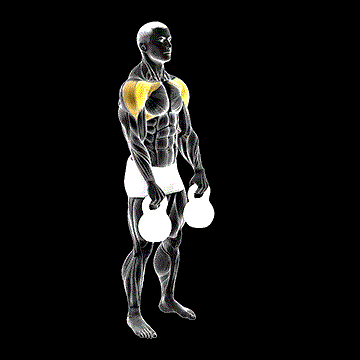 Kettlebell Front Raise demonstration