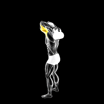 Kettlebell Overhead Triceps Extension demonstration