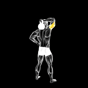 Kettlebell Standing One-Arm Extension demonstration