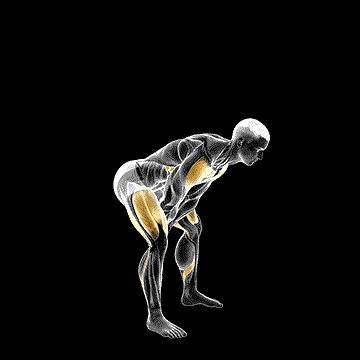 Bodyweight Swing demonstration