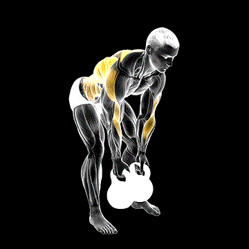 Kettlebell Bent-over Alternate Twist Row demonstration