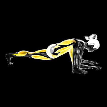Lizard Pose demonstration