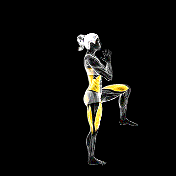 Revolved Triangle Pose demonstration