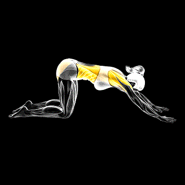 Thread the Needle Pose demonstration