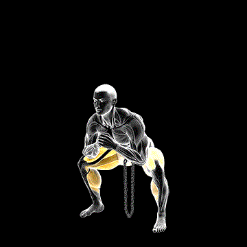 Weighted Chain Sumo Deadlift demonstration