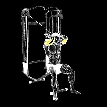 Cable Seated High-Pulley Overhead Tricep Extension demonstration