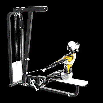 Cable Low Seated Row demonstration