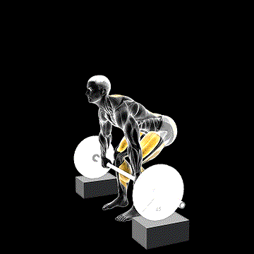 Barbell Deadlift From Blocks demonstration