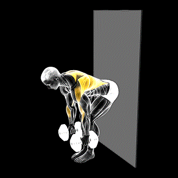 Dumbbell Bent-over Row Against Wall demonstration