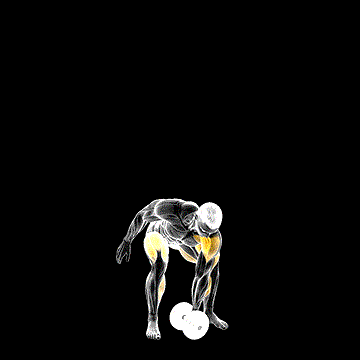 Dumbbell One-Arm Snatch (Left) demonstration