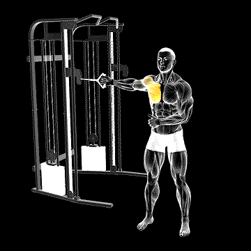 Cable Standing One-Arm Fly demonstration