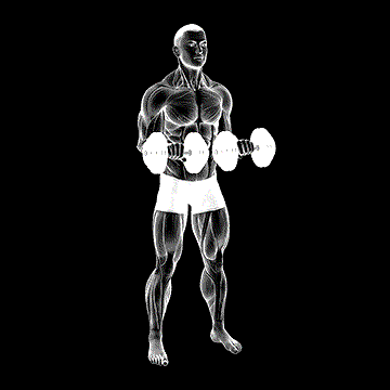Dumbbell Standing Arm Rotate demonstration
