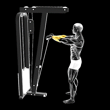 Cable Standing Wrist Roll demonstration