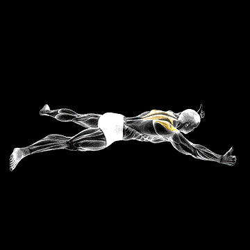 Lying Prone Y Raise demonstration