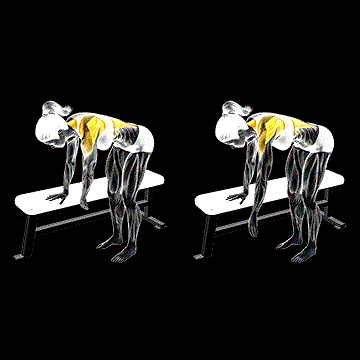 Bent-over Shoulder Pendulum demonstration