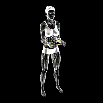 Band Standing External Rotation demonstration