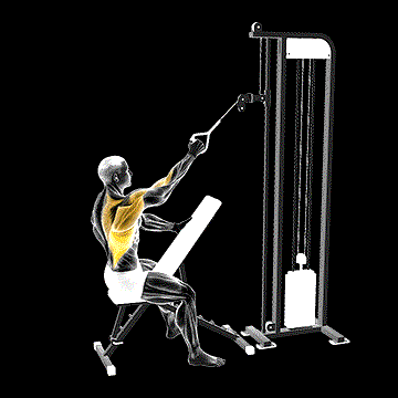 Cable One-Arm High Row demonstration