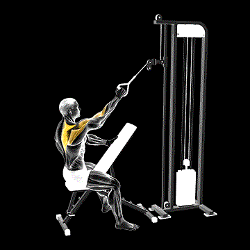 Cable One-Arm High Scapular Row demonstration