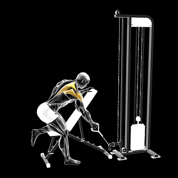 Cable One-Arm Low Scapular Row demonstration