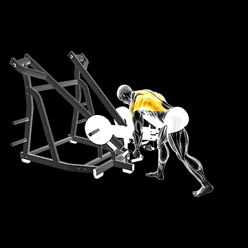 Lever Bent-over Neutral Grip Row (w/ Chest Support) demonstration