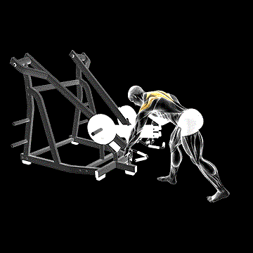 Lever Bent-over Wide Grip Row (w/ Chest Support) demonstration