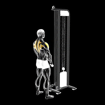 Cable High Pull (w/ Rope Attachment) demonstration