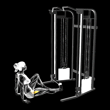 Seated Hip External Rotation demonstration