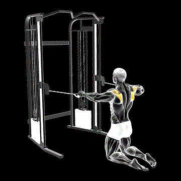 Cable Kneeling Shoulder External Rotation demonstration