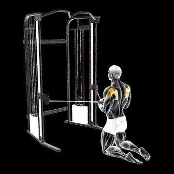 Cable Kneeling Shoulder Internal Rotation demonstration