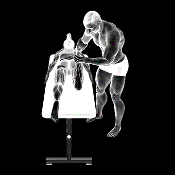 Hip External Rotation Test demonstration