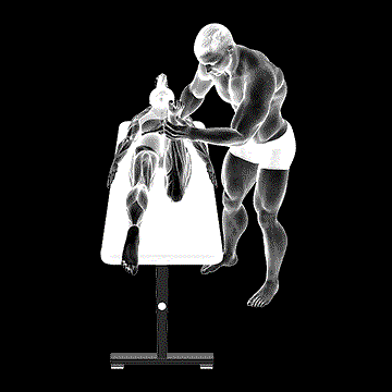 Hip Internal Rotation Test demonstration