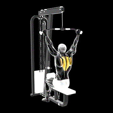 Cable Seated Reverse Shrug demonstration