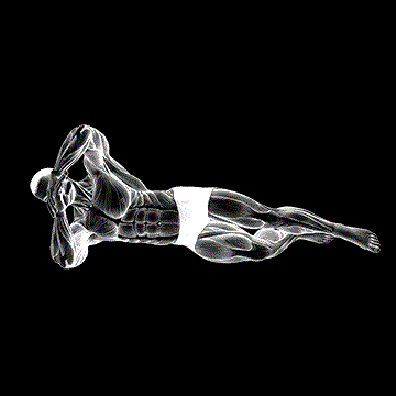 Side-Lying Internal Rotation demonstration