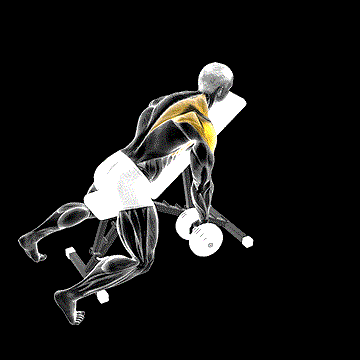 Dumbbell Incline One-Arm Y Raise demonstration