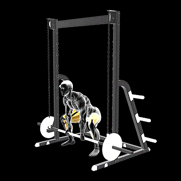 Smith Sumo Deadlift demonstration