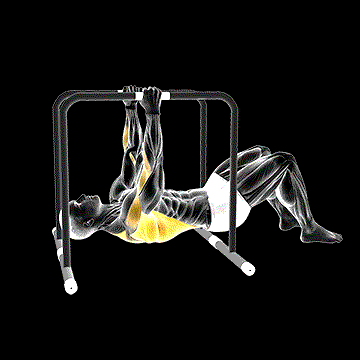 Parallel Bars Bent-Knee Inverted Row demonstration