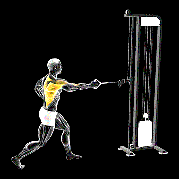 Cable Split-Stance One-Arm Row demonstration